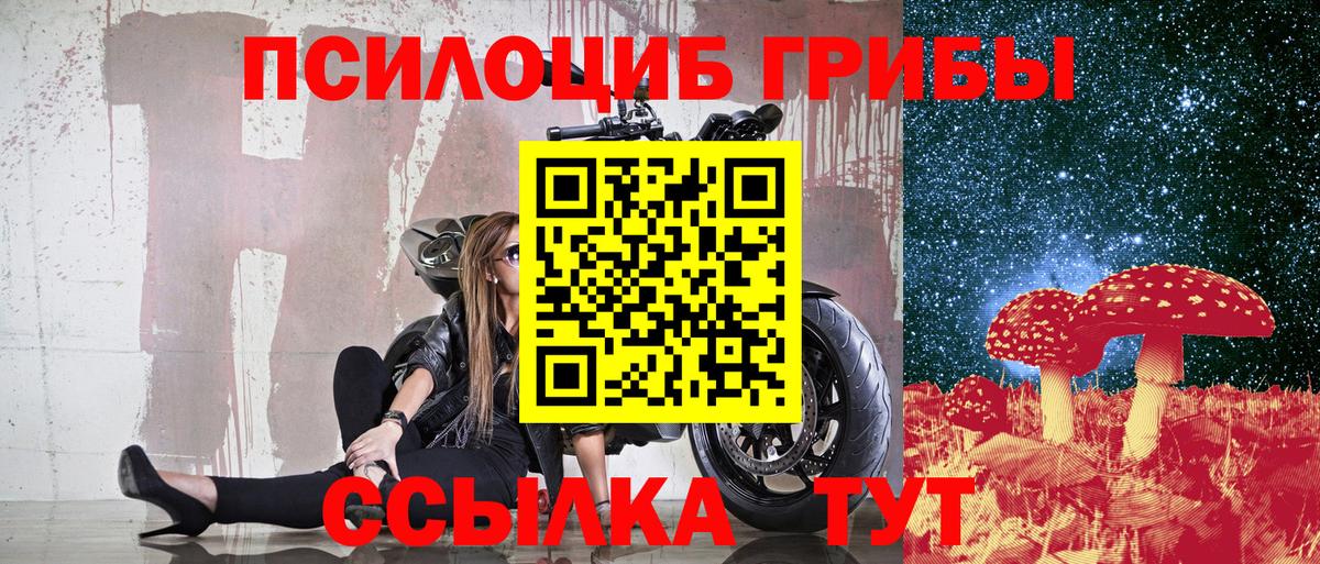 Псилоцибиновые грибы мицелий Нижний Тагил